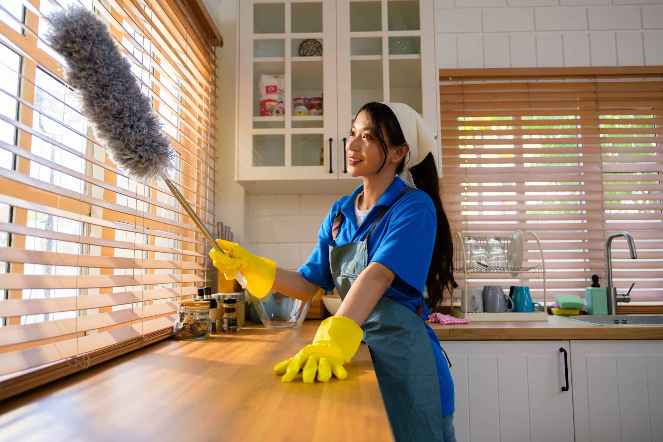 happy-woman-cleaning-house-housekeeping-and-clean-2023-11-27-05-25-47-utc (2) House Cleaning Service
