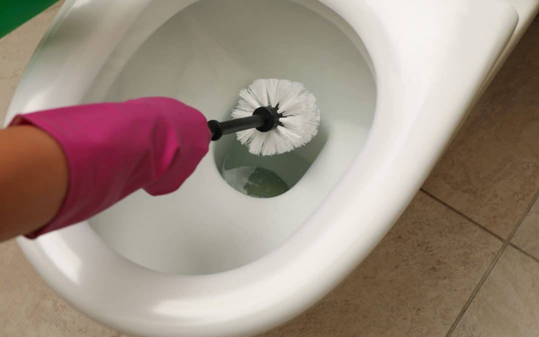 Remove Hard Water Stains in Your Toilet