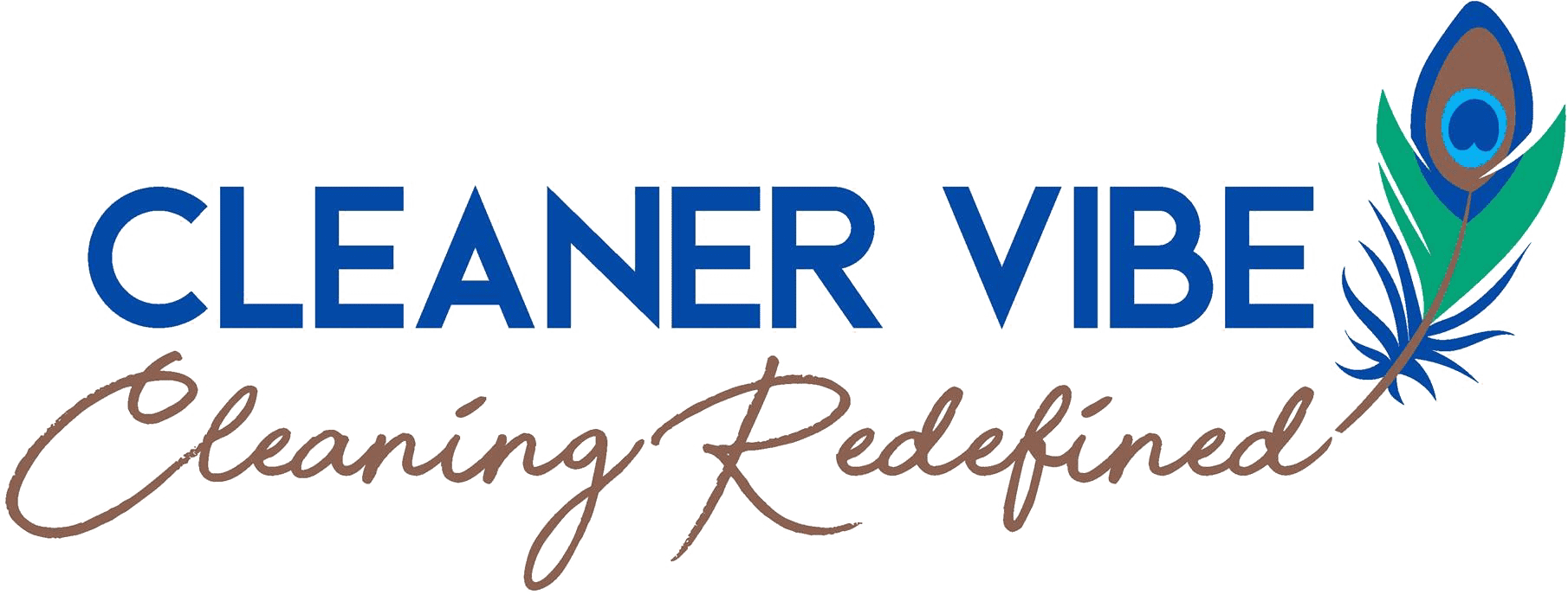 cleaner-vibe-logo (1)