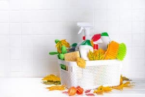 best house cleaning service in Ellicott City MD